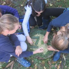 Children arranging sticks on the ground